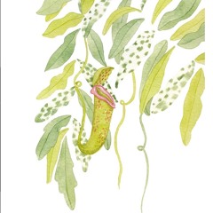 Desires Of Leaves