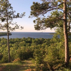 i saw you in my dreams last night