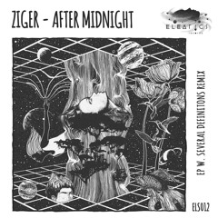 After Midnight [Eleatics Records]