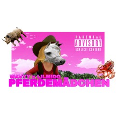 Pferdemädchen (feat. lilmido)