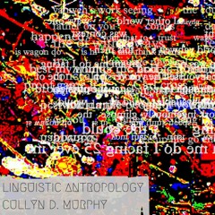 Linguistic Anthropology