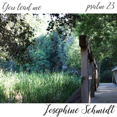 You lead me (Psalm 23)