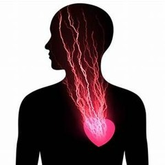 Conteplation of the Heart