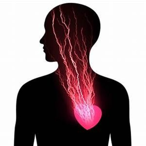 Conteplation of the Heart