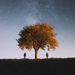 Premiere: Ricoshëi - Rabbit Hole