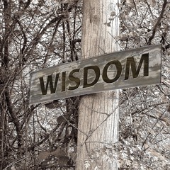 WIsdom (Prod. MC KS)