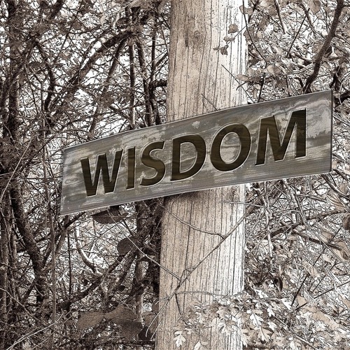 WIsdom (Prod. MC KS)