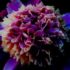 Smooth Lullaby (Prod. Robby Rawkins)