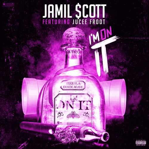 I'm On It (featuring Jucee Froot)