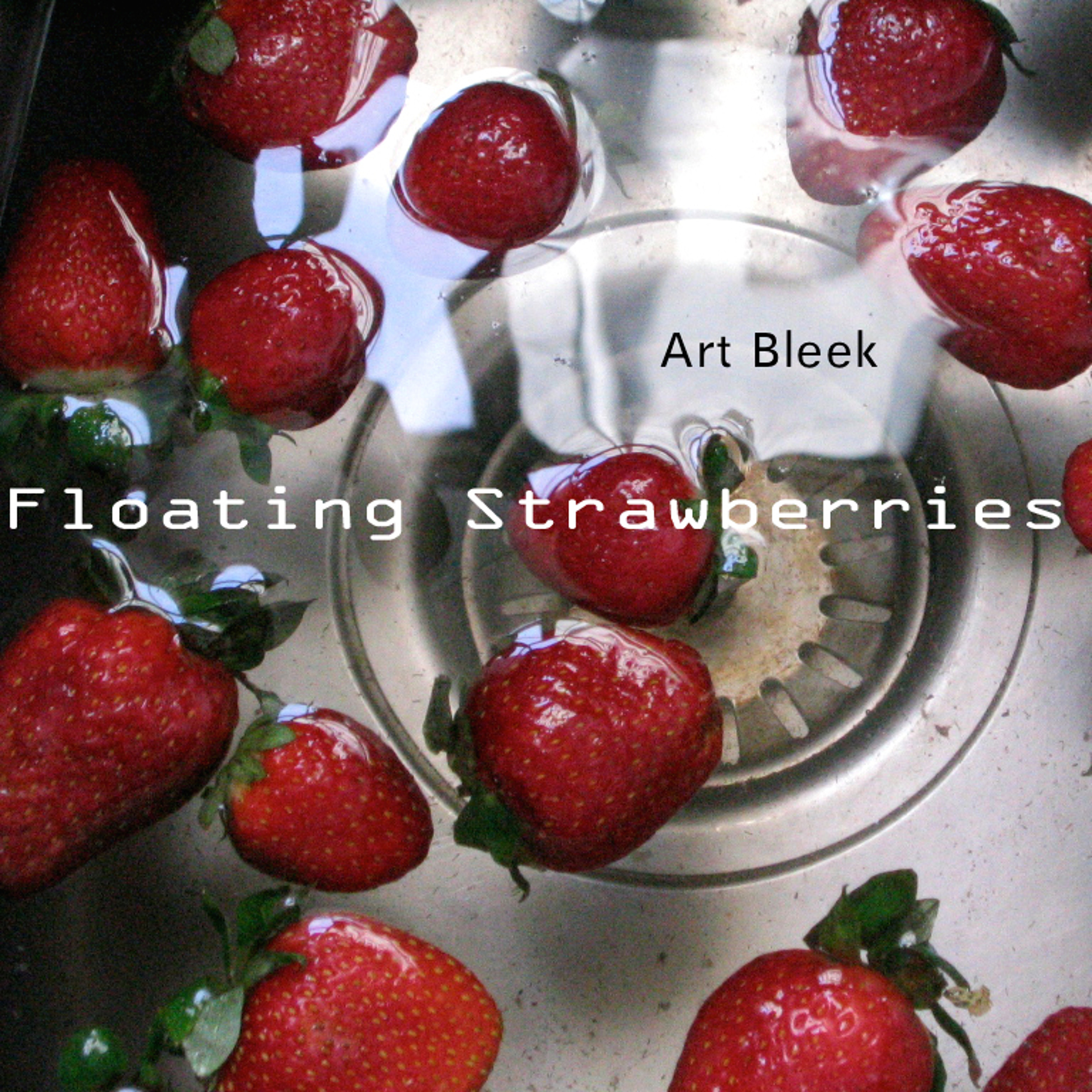 Art Bleek
