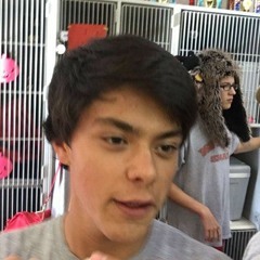 Resurrection (ft. Leonmoon)