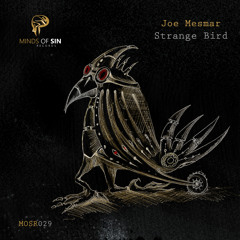Joe Mesmar - Strange Bird (Original MIx)