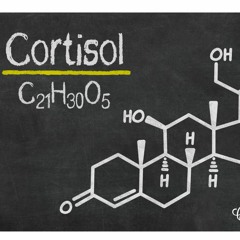 #085 Cortisol part 2 - Low cortisol