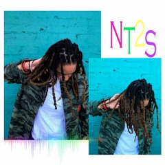 NT2S