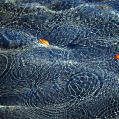 Vibrasphere - Floating Free (Meltdown Rmx)