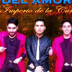 140 - Peregrinos Del Amor - La Boda Remix Palmas Arriba Dj Raya