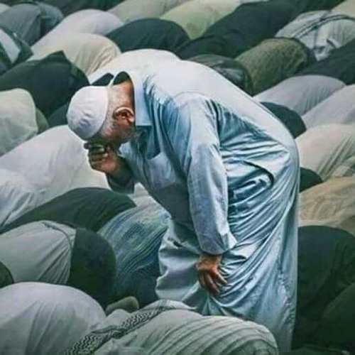 تلاوات قرآنية - زمّل فؤادك ♡