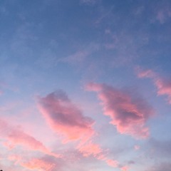 청춘(day) (cover)