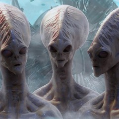 The Scent of the Blood AEROPLANE JELLYFISH