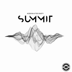 Acidova & Too Dusty - Summit (Original mix) [NEOM]