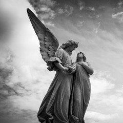 Higher Purpose