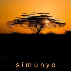 Simunye | Damian Yoko & Amy May Roux (Cinematic remix)