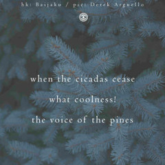 Pining for the pines [naviarhaiku234 - when the cicadas cease]