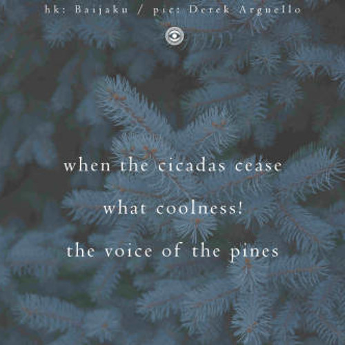 Pining for the pines [naviarhaiku234 - when the cicadas cease]