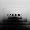 Apes T The Carters Beyonce And Jay Z Cover Tzcobb Mp3