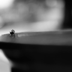 Invisibles A (edit version, Nova Fund, 2018)