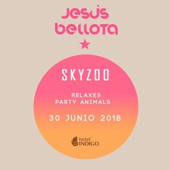 SKYZOO Relaxes Party Animals