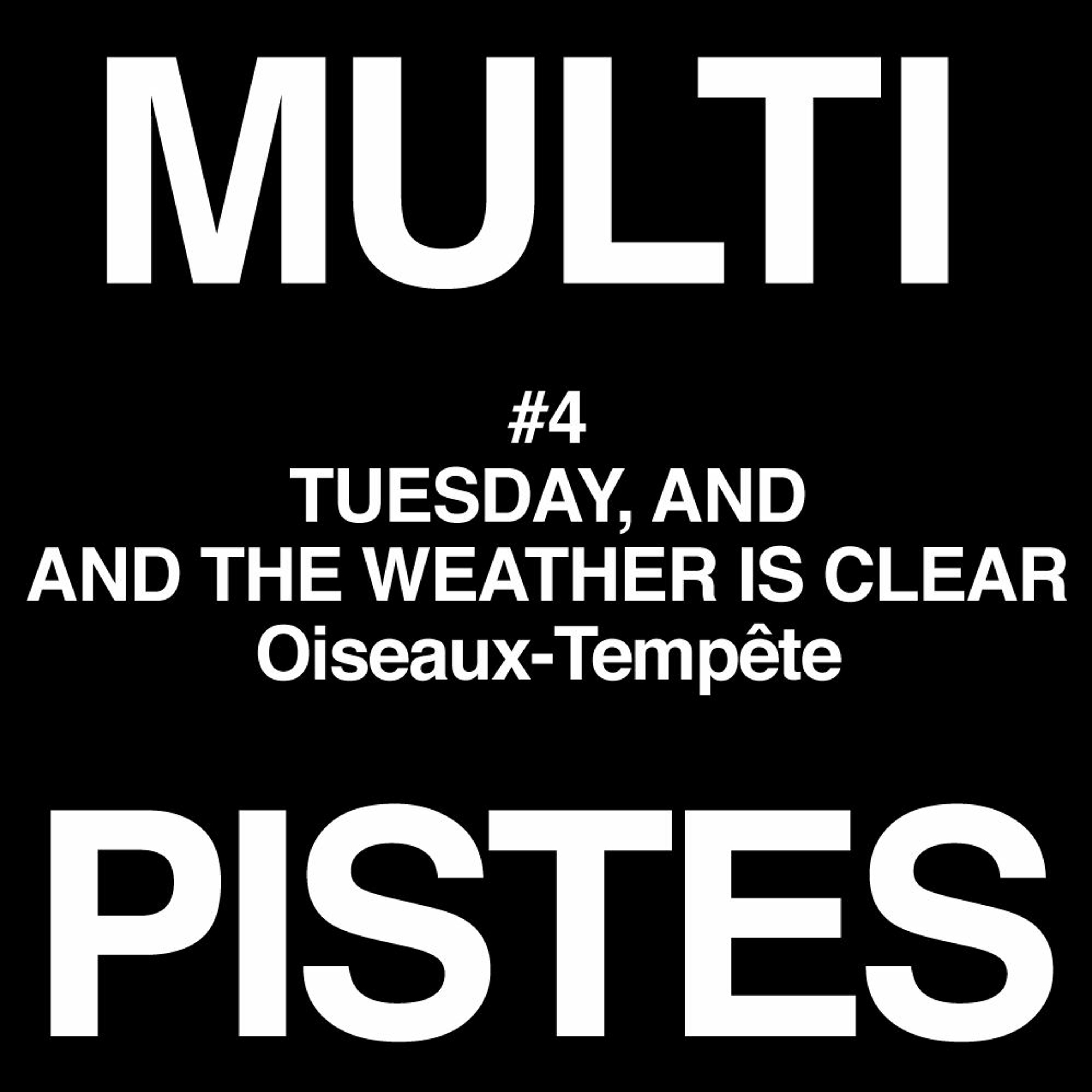 #4 TUESDAY, AND THE WEATHER IS CLEAR – Oiseaux-Tempête