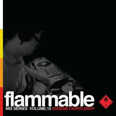 Flammable Mix Series Volume 12 : Eugene Fauntleroy