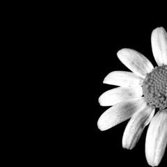 Sesión #2 by Daucus