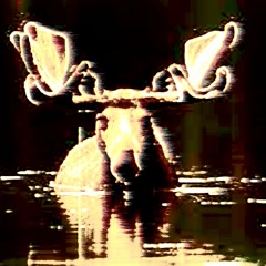 Zaflon - Melt The Moose Goes For A Swim