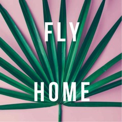 Fly Home - FREE DOWNLOAD (Alternative Hip Hop)