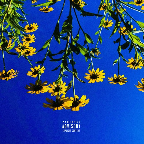 Stream Sunrise (Prod. Young Orange) by Young Orange | Listen online for ...