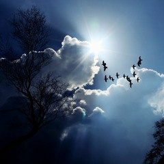 Travel in the clouds
