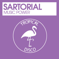 Disco House