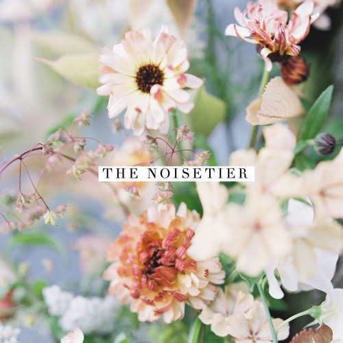 The noisetier