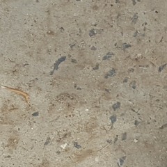 Za che kala par shama tore jamay wachawa. Takkar