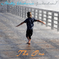 The One (Stufly Electronic / Guitarbeard)