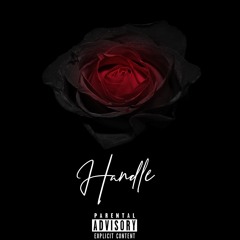 Handle