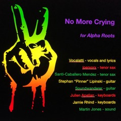 No More Crying - Vocalatti, joerxorx, Santi-Caballero, Pinner, Soundwanderer, Julien, Ver2xif, Jamie