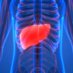Discovering New Liver Disease Treatments