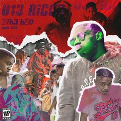 013 RICCO