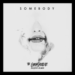 The Chainsmokers, Drew Love - Somebody (Sleuth Remix)