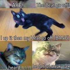 𝕃𝕠𝕗𝕚 ℍ𝕚𝕡 ℍ𝕠𝕡 ℝ𝕒𝕕𝕚𝕠 𝟚𝟜/𝟟 🎧 ℂ𝕙𝕚𝕝𝕝 𝔾𝕒𝕞𝕚𝕟𝕘 / 𝕊𝕥𝕦𝕕𝕪 𝔹𝕖𝕒𝕥𝕤