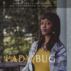 LADY BUG