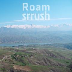 Roam - feat. Kaveh & Faraz